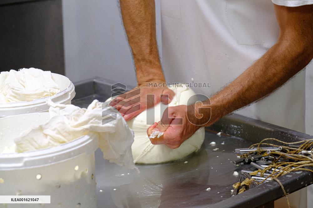 Mahon Cheese Making - Menorca