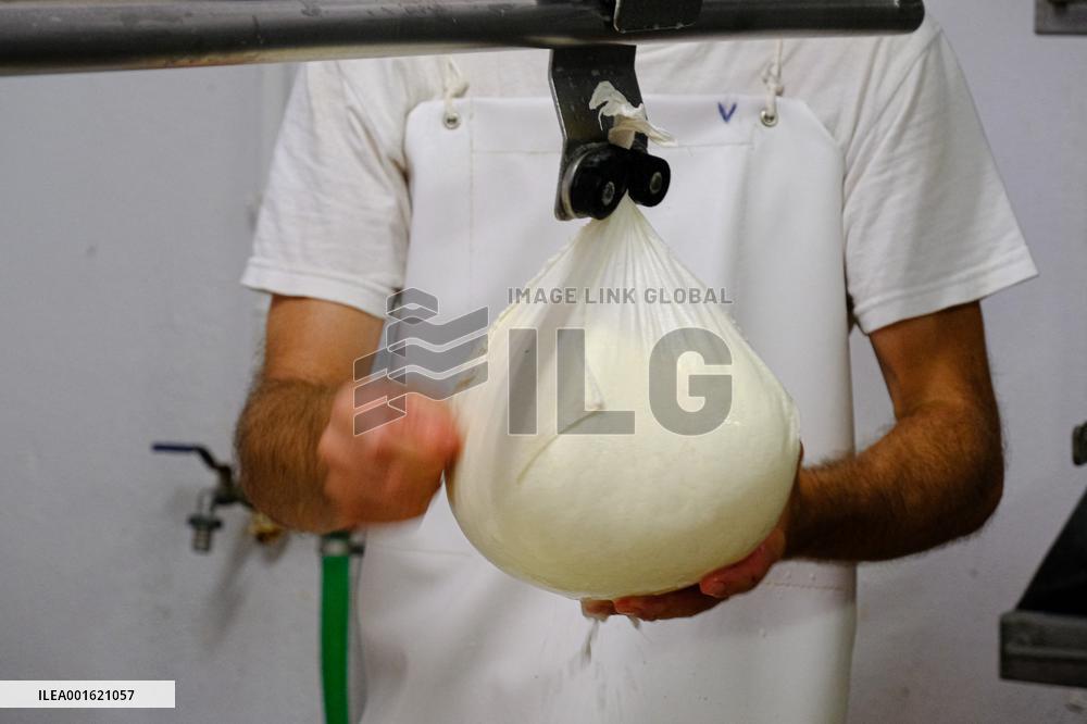 Mahon Cheese Making - Menorca