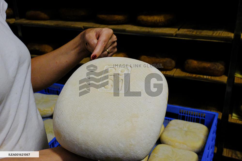 Mahon Cheese Making - Menorca