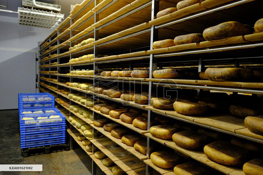 Mahon Cheese Making - Menorca