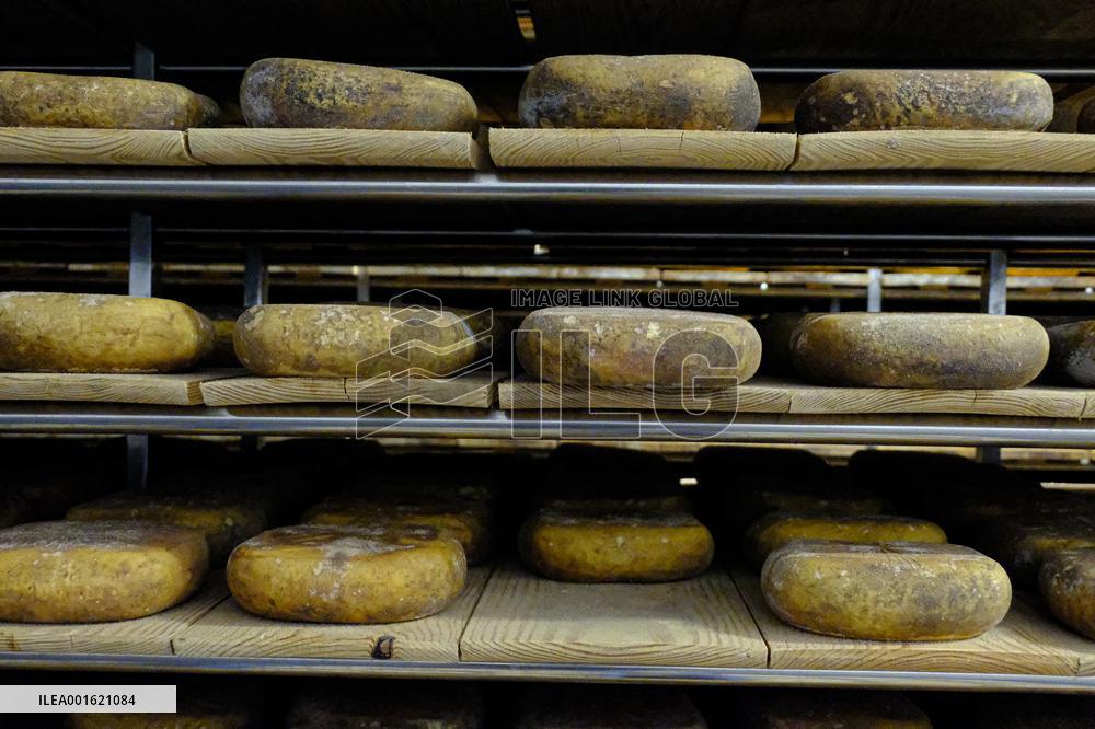 Mahon Cheese Making - Menorca