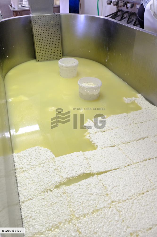 Mahon Cheese Making - Menorca