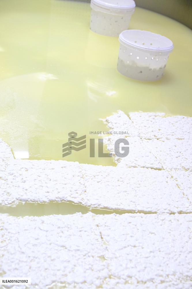 Mahon Cheese Making - Menorca