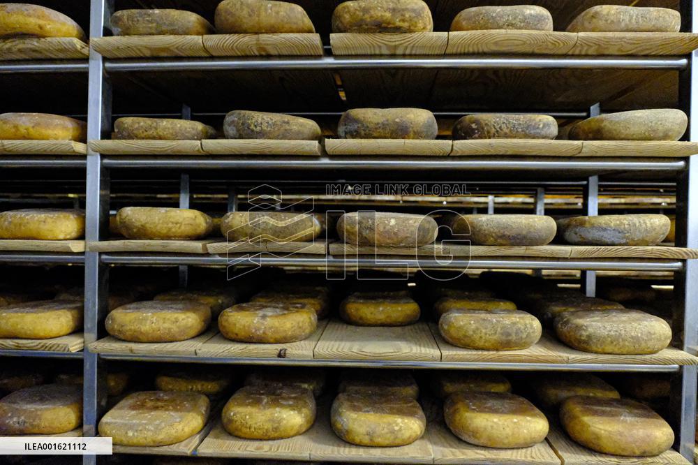 Mahon Cheese Making - Menorca