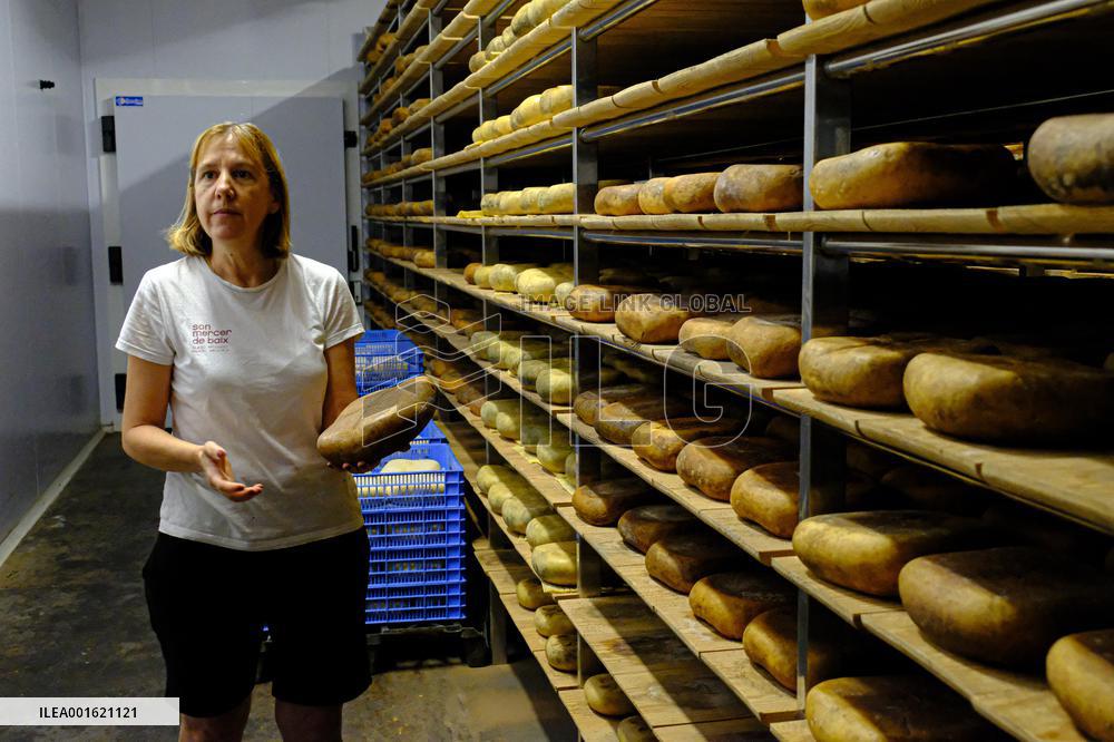 Mahon Cheese Making - Menorca