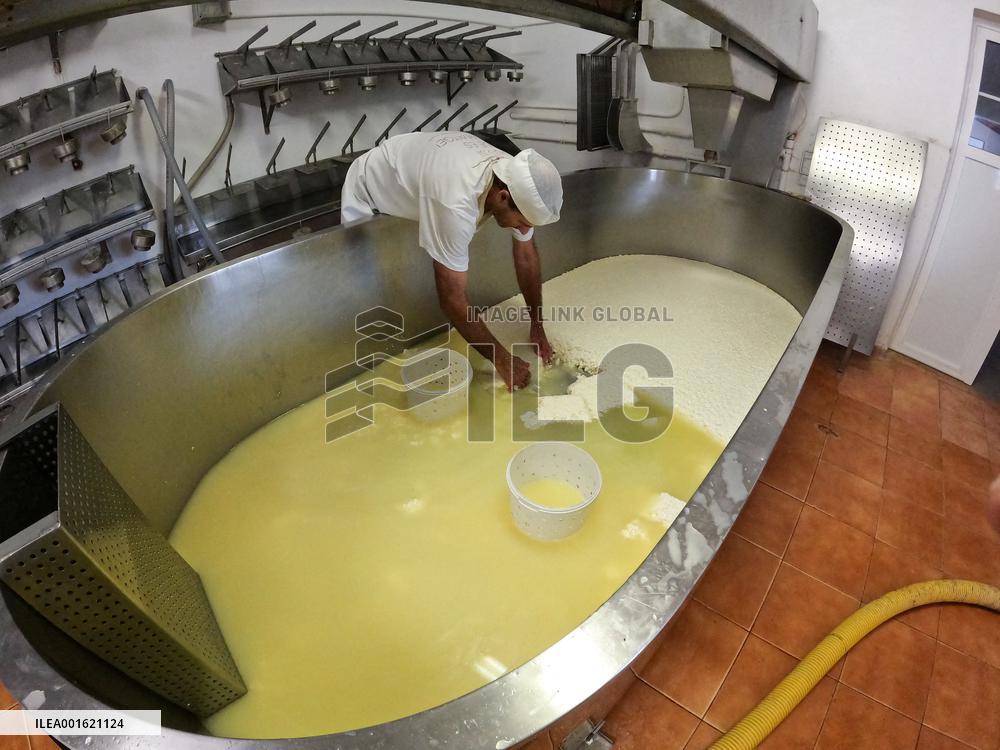 Mahon Cheese Making - Menorca