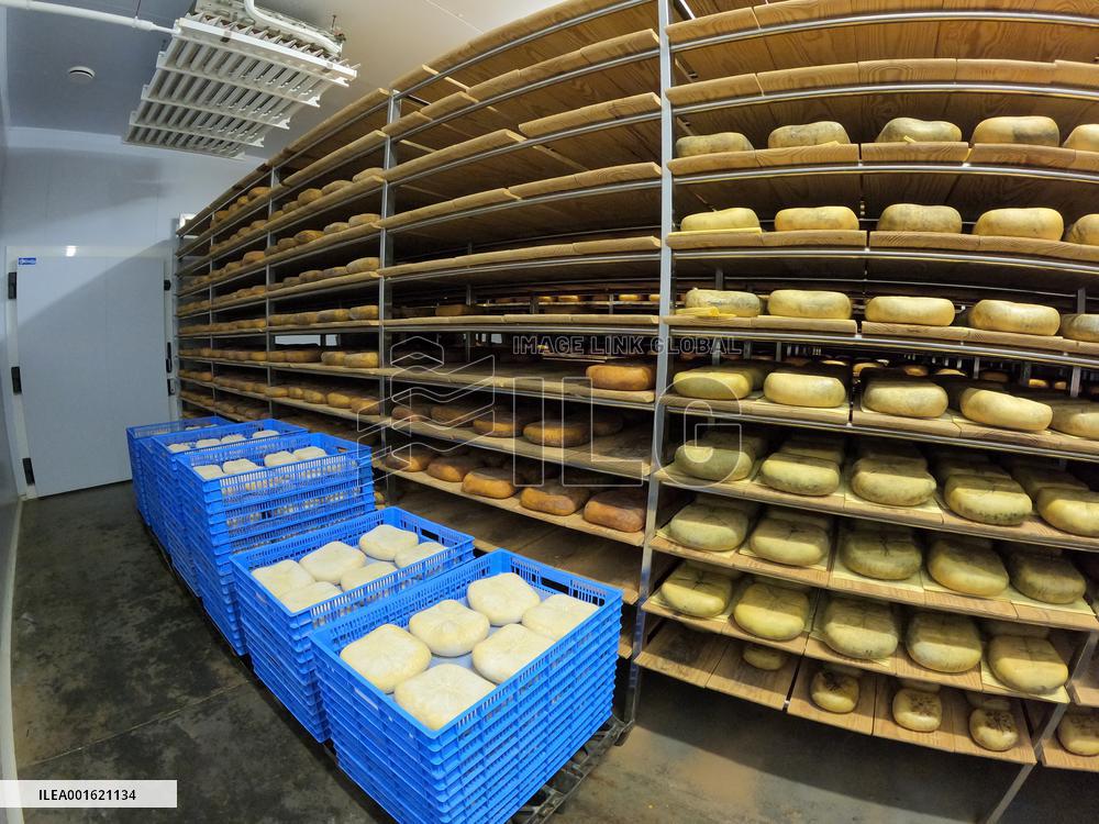 Mahon Cheese Making - Menorca