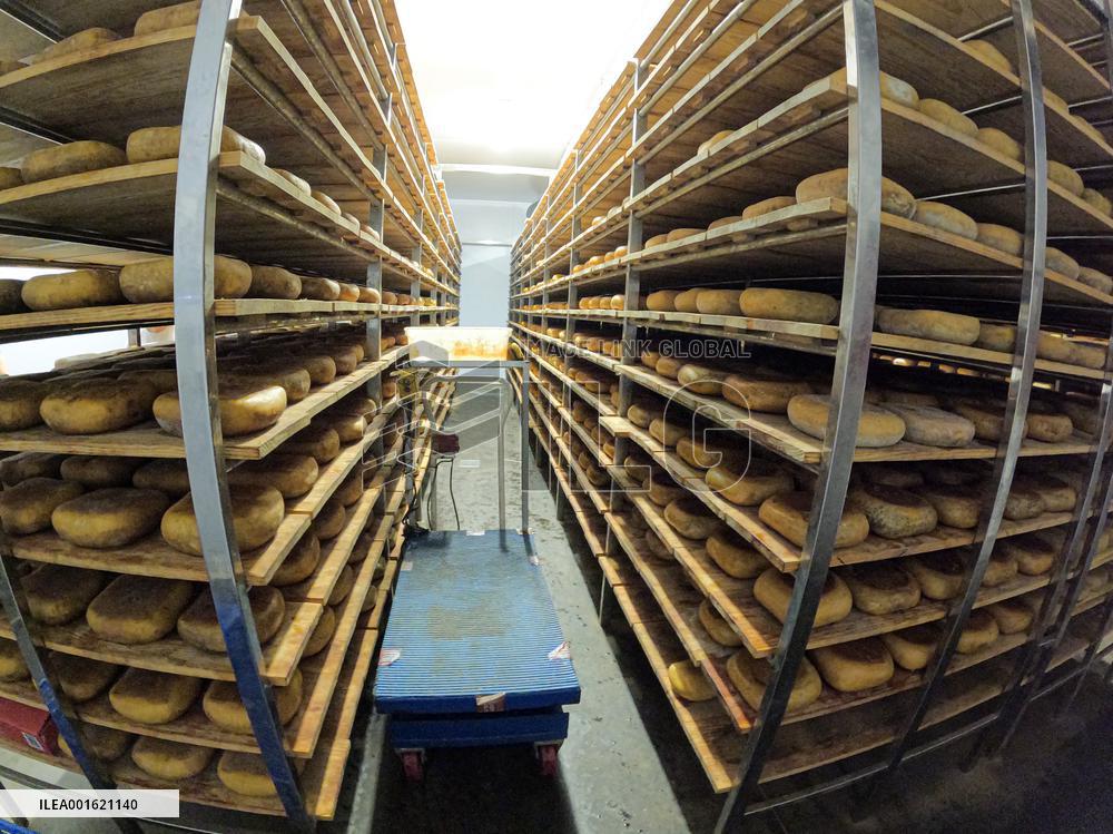 Mahon Cheese Making - Menorca