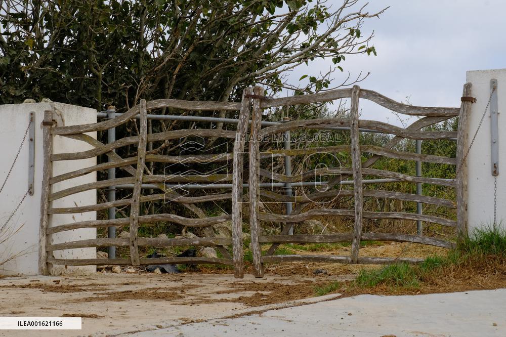 Mahon Cheese Making - Menorca