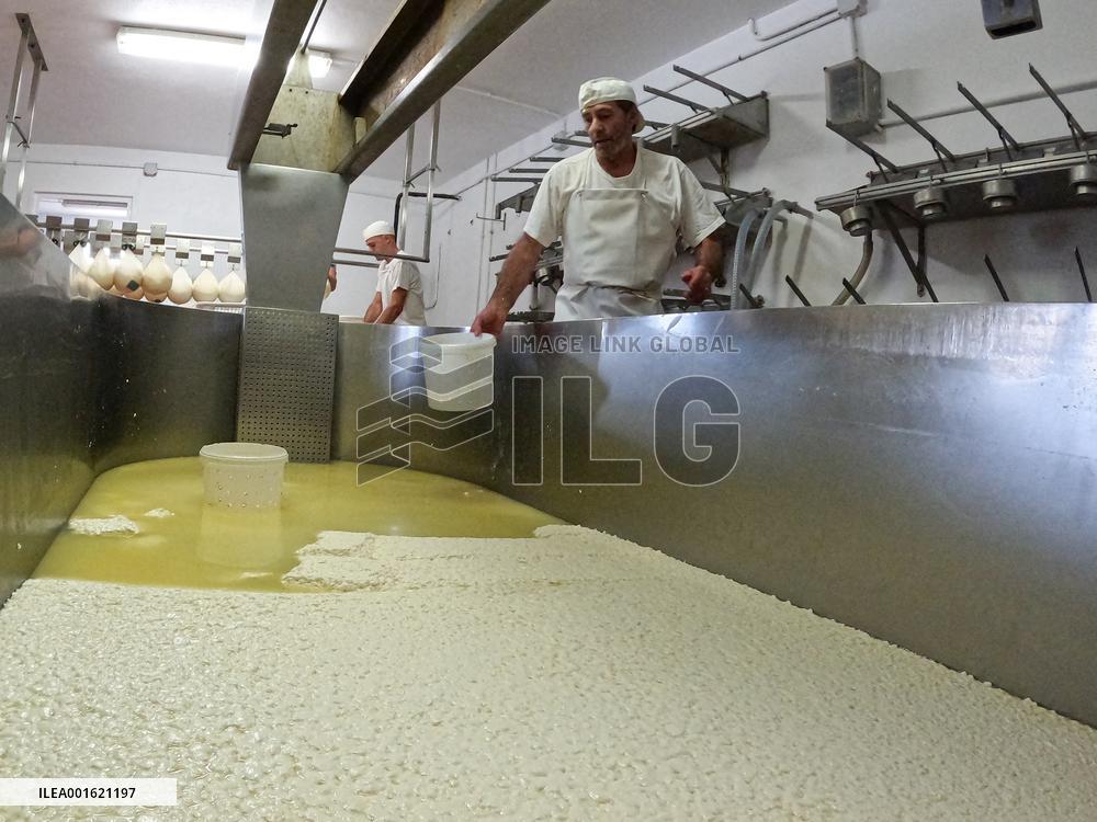 Mahon Cheese Making - Menorca