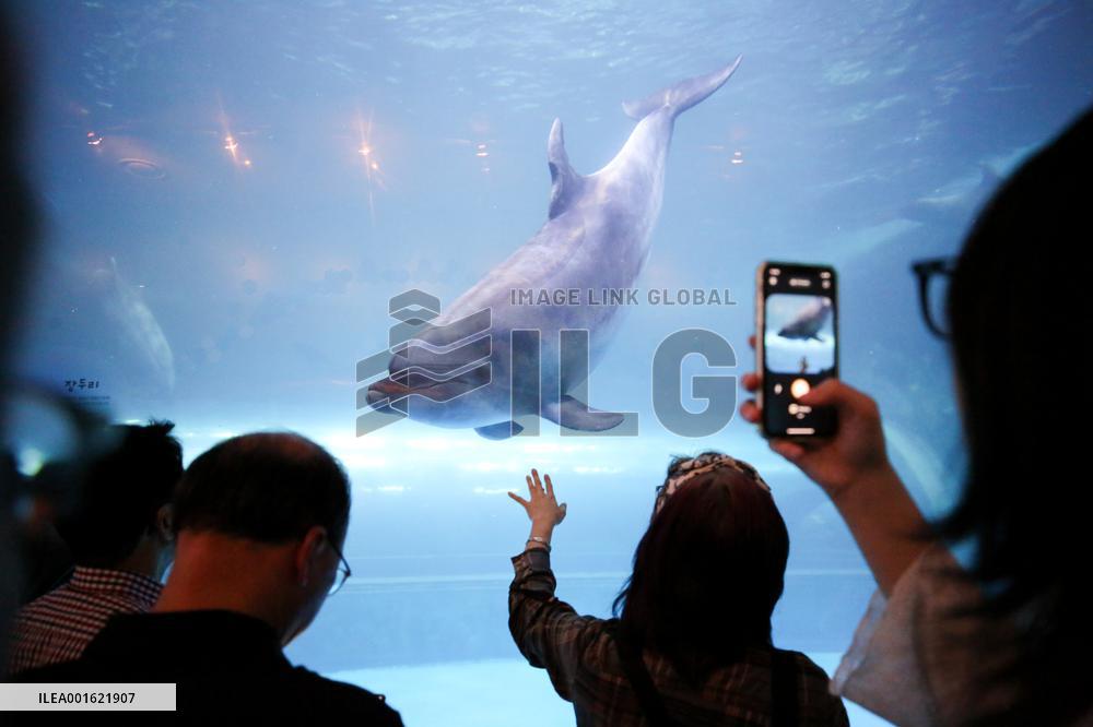 SOUTH KOREA-ULSAN-WHALE MUSEUM