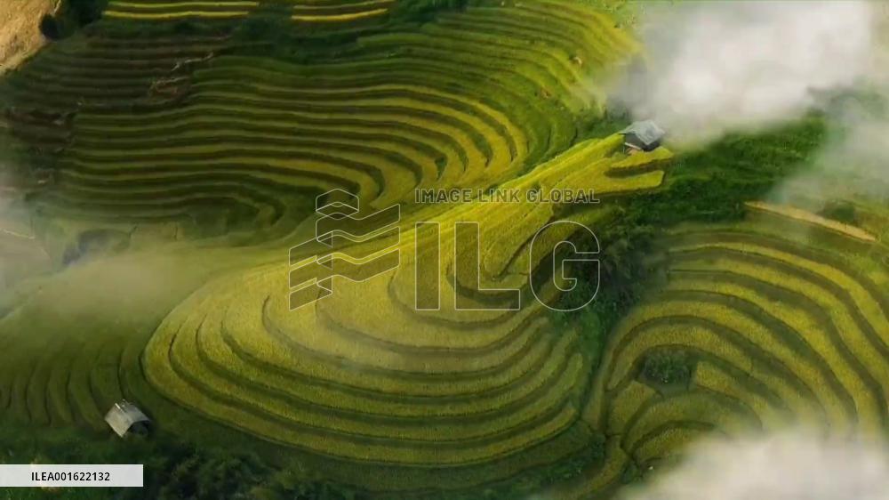China uses AI technology for more accurate forecast of extreme weather