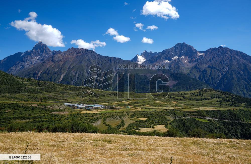 CHINA-TIBET-BANBAR-AUTUMN HARVEST (CN)