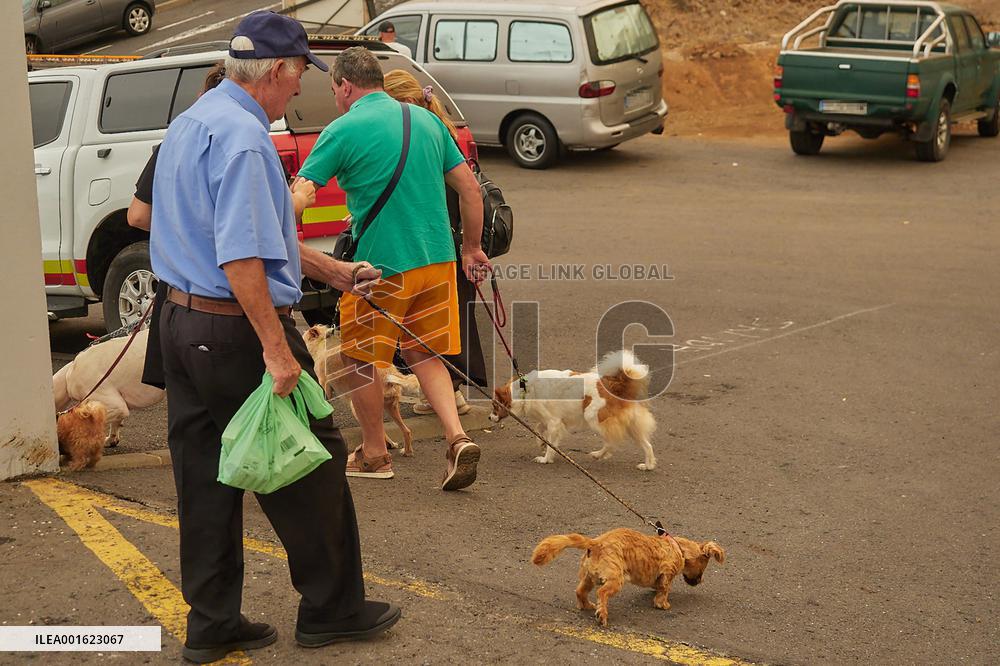 Tenerife Wildfire Forces Thousands to Evacuate