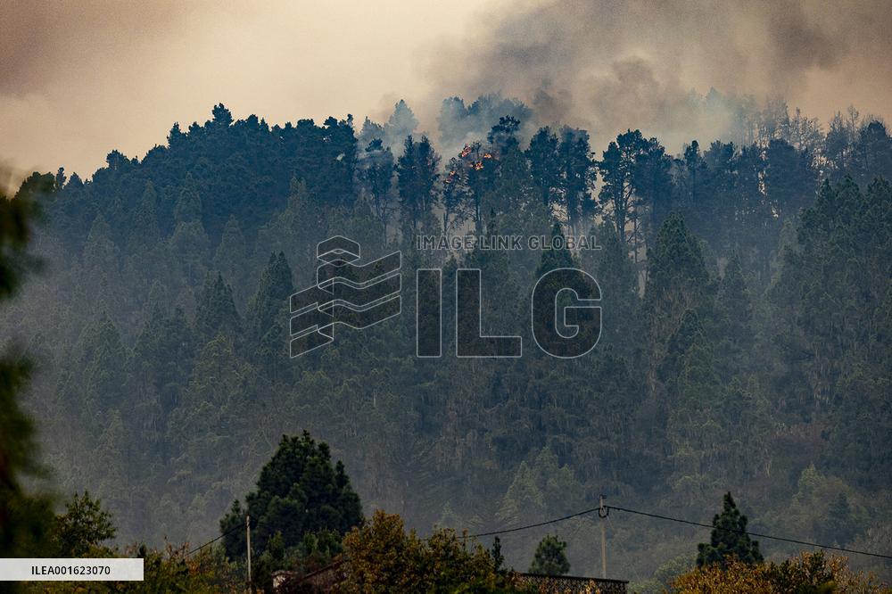 Tenerife Wildfire Forces Thousands to Evacuate