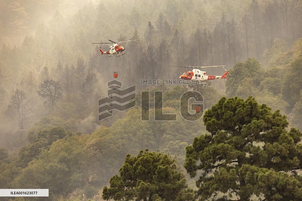 Tenerife Wildfire Forces Thousands to Evacuate