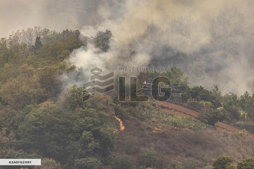 Tenerife Wildfire Forces Thousands to Evacuate