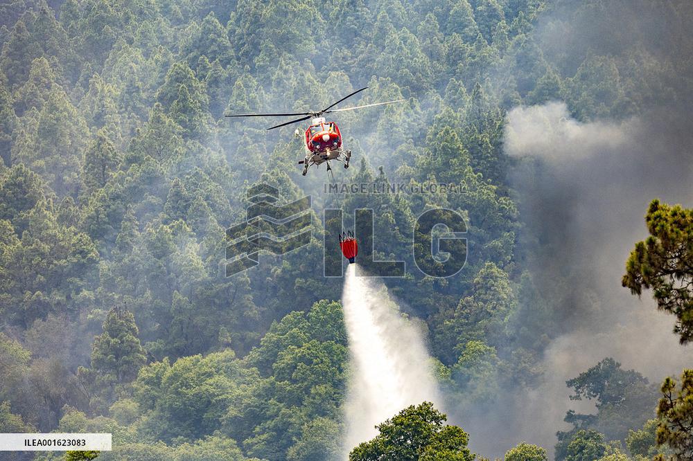 Tenerife Wildfire Forces Thousands to Evacuate
