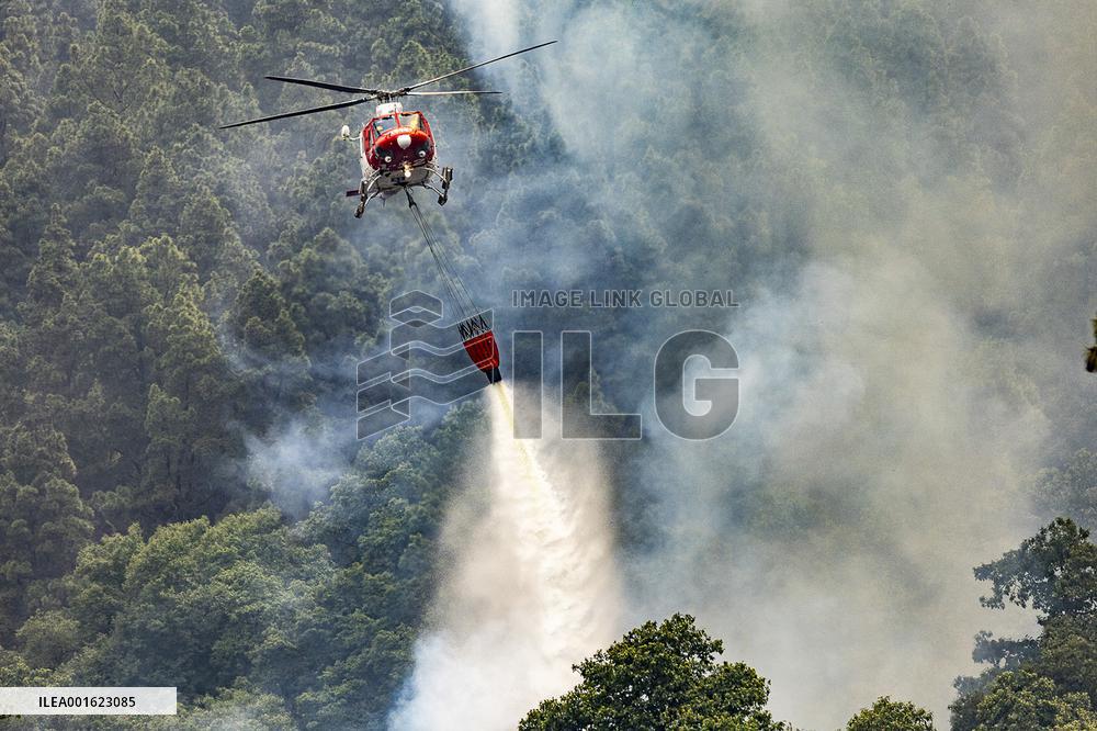 Tenerife Wildfire Forces Thousands to Evacuate