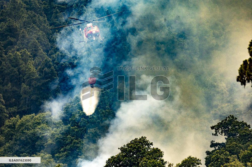 Tenerife Wildfire Forces Thousands to Evacuate
