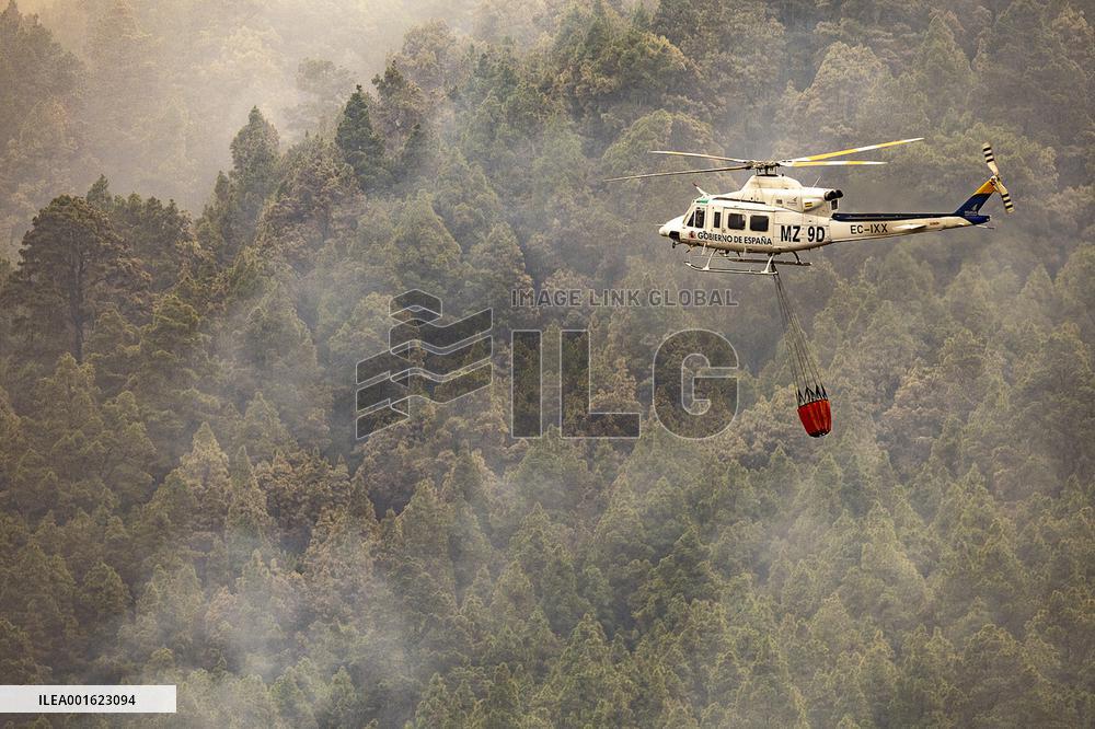 Tenerife Wildfire Forces Thousands to Evacuate