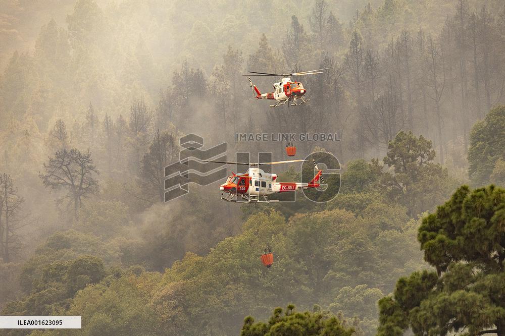 Tenerife Wildfire Forces Thousands to Evacuate