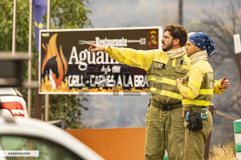 Tenerife Wildfire Forces Thousands to Evacuate