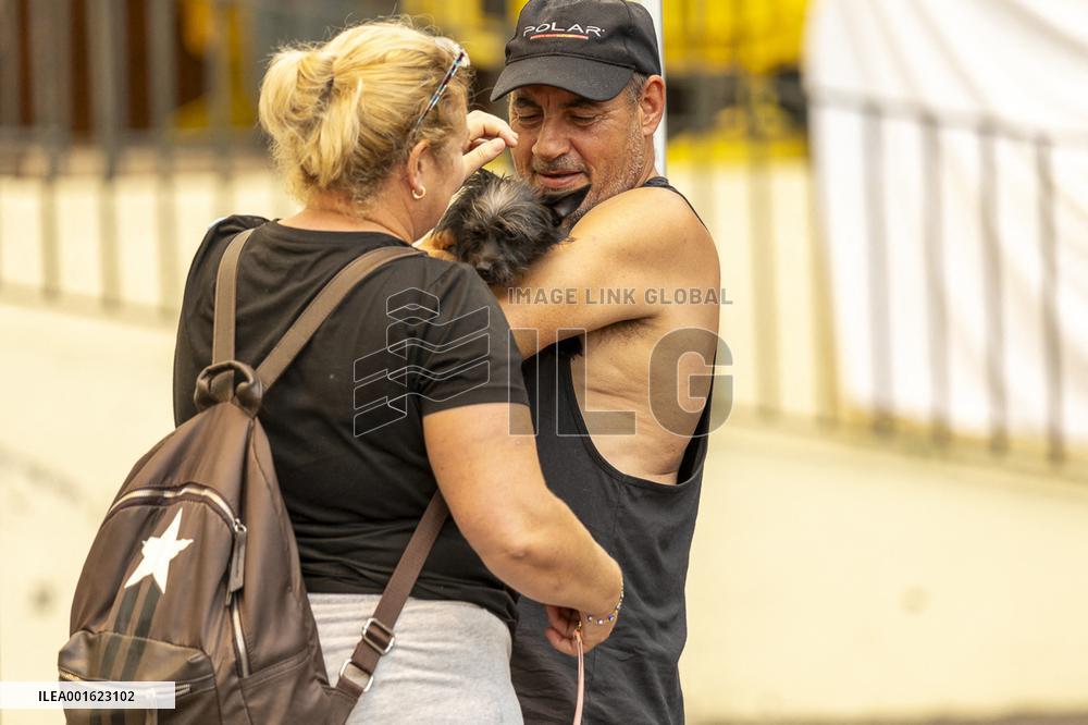 Tenerife Wildfire Forces Thousands to Evacuate