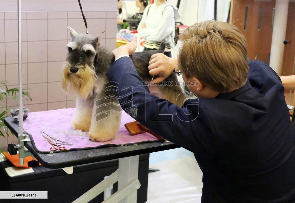 Asian Pet Show Public Day in Shanghai, China