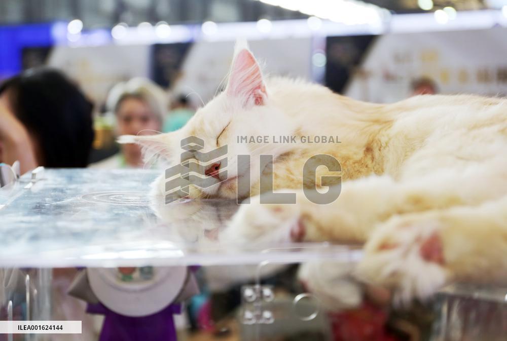 Asian Pet Show Public Day in Shanghai, China