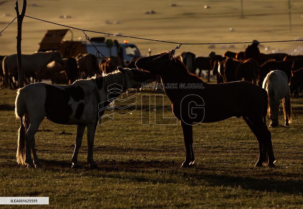 MONGOLIA-ULAN BATOR-NOMADIC CULTURE-FESTIVAL