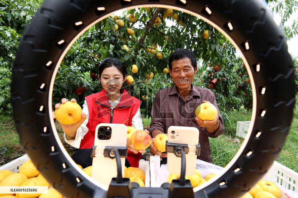 Agricultural Sales Via Online Live Broadcast
