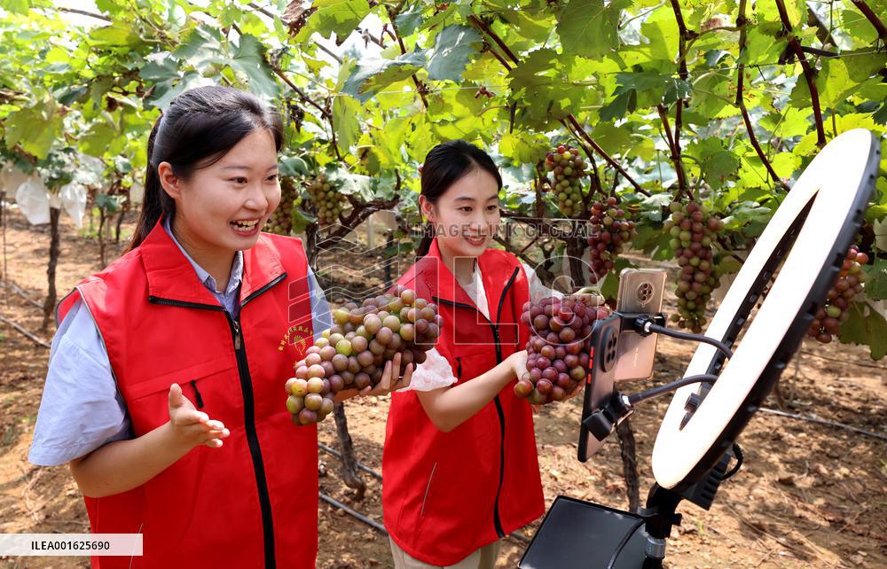 Agricultural Sales Via Online Live Broadcast