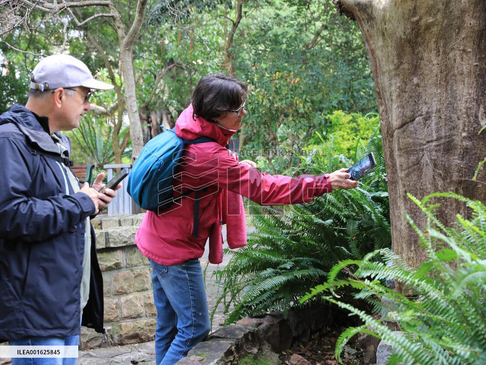 SOUTH AFRICA-TOURISTS-INCREASE