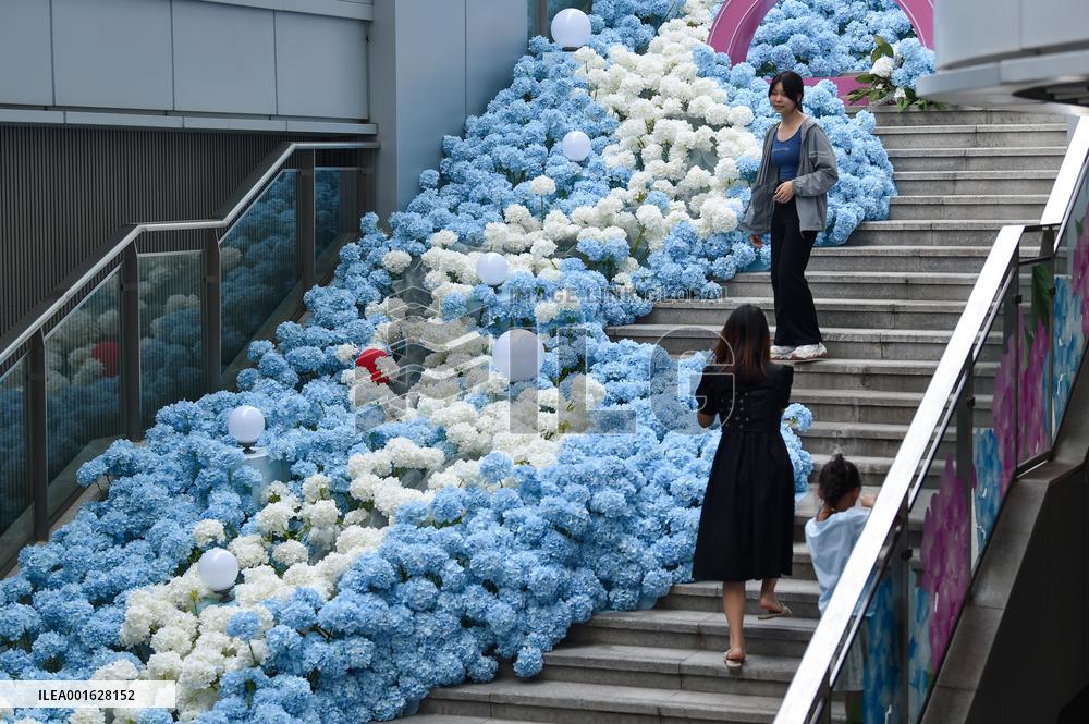 Double Seventh Festival Celebrated in Nanjing