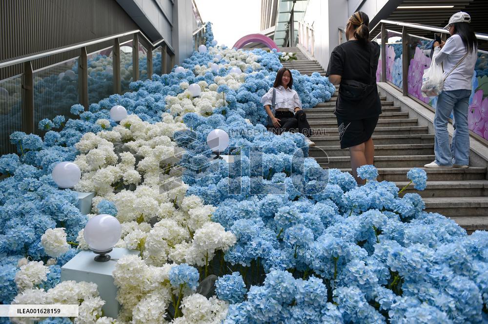 Double Seventh Festival Celebrated in Nanjing