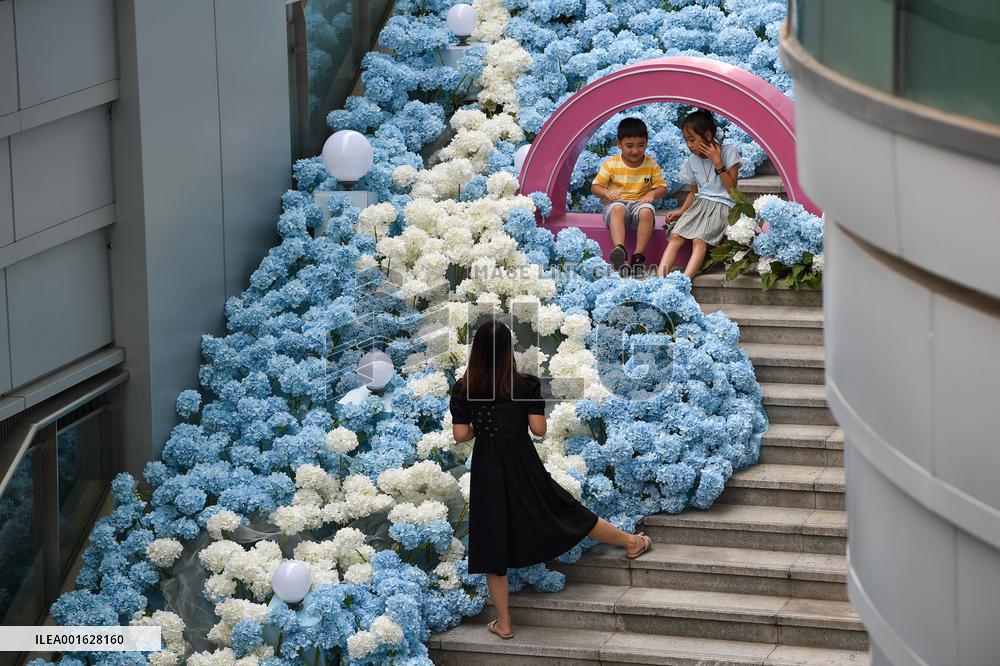 Double Seventh Festival Celebrated in Nanjing