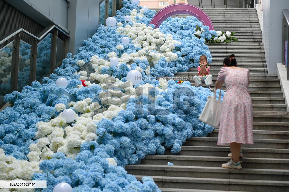 Double Seventh Festival Celebrated in Nanjing