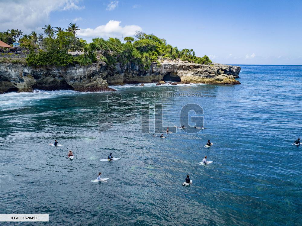 Seaweed Cultivation - Indonesia