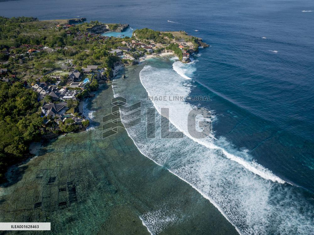 Seaweed Cultivation - Indonesia