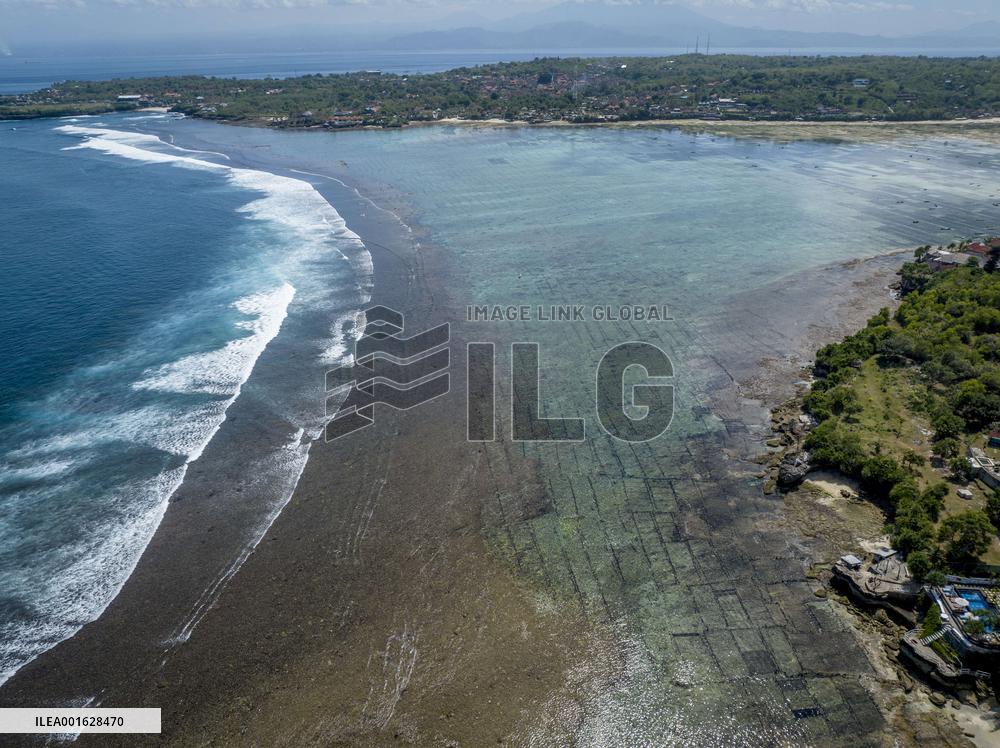 Seaweed Cultivation - Indonesia