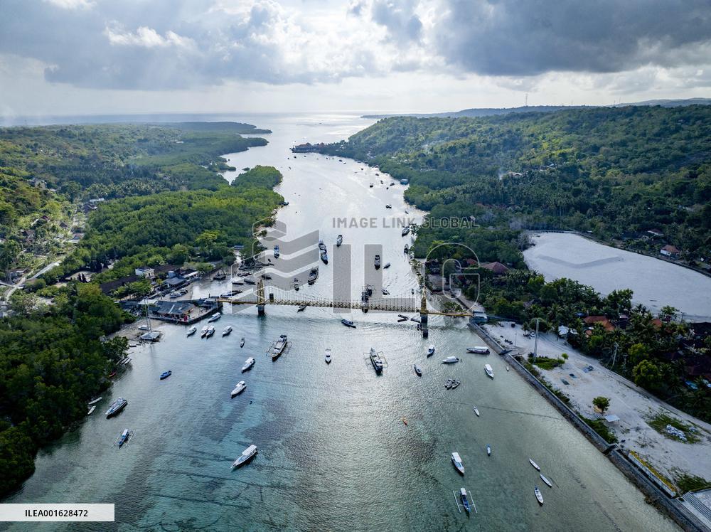 Seaweed Cultivation - Indonesia