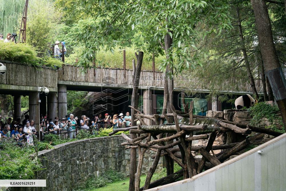 U.S.-WASHINGTON, D.C.-GIANT PANDA CUB-BIRTHDAY-CELEBRATION