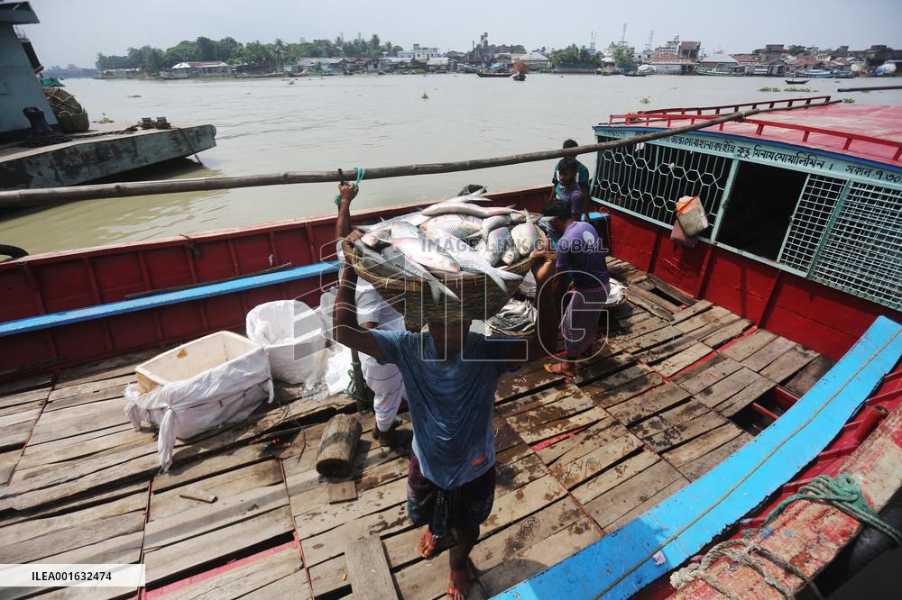 Fishmarket In Bangladesh