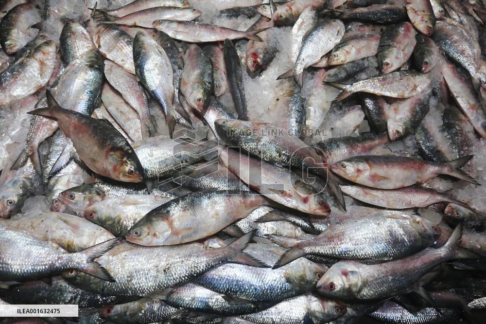 Fishmarket In Bangladesh