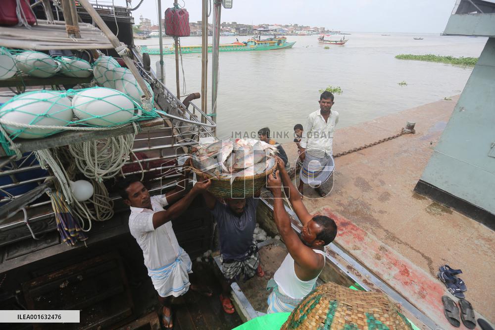 Fishmarket In Bangladesh