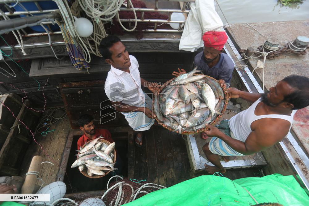 Fishmarket In Bangladesh