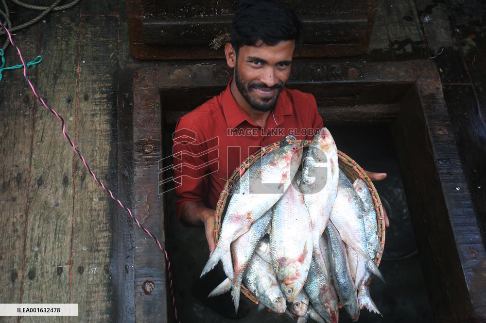 Fishmarket In Bangladesh