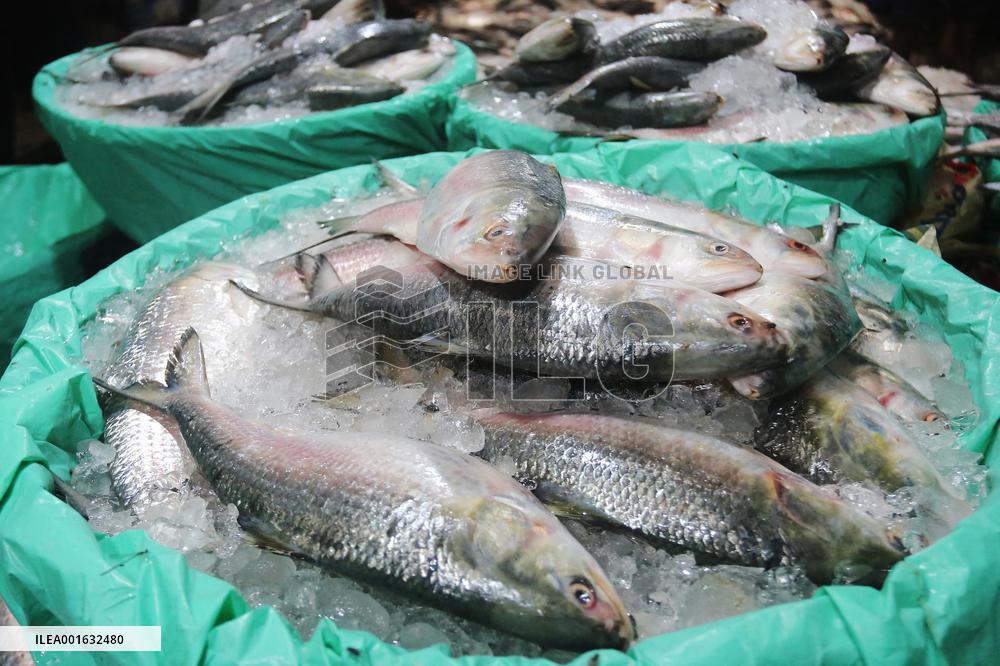 Fishmarket In Bangladesh