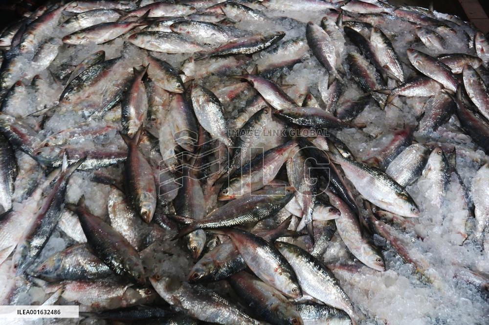 Fishmarket In Bangladesh